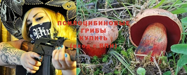 ГАЛЛЮЦИНОГЕННЫЕ ГРИБЫ Пестово
