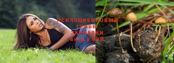 не бодяженный Белокуриха