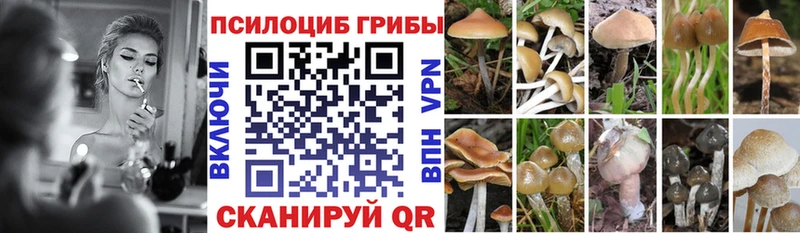 даркнет какой сайт  Енисейск  Галлюциногенные грибы мухоморы 